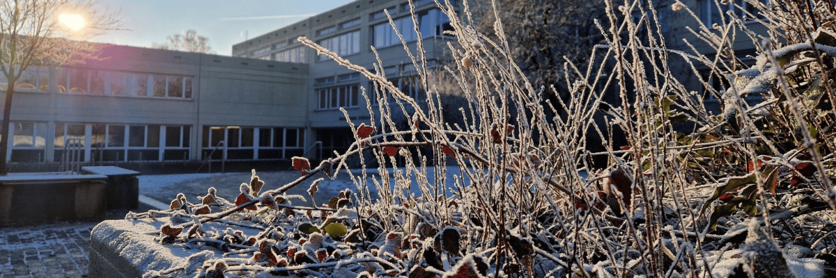 Einblick in AGs und Wettbewerbe